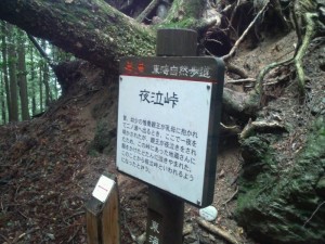 wpid-DSC_3017.jpg