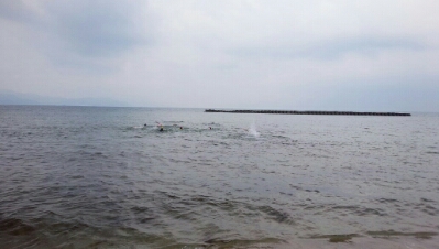 wp-1433057051276 image